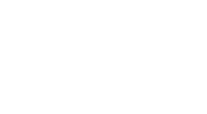 Logo image for Bionda